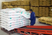 復(fù)合肥市場(chǎng)靜悄悄